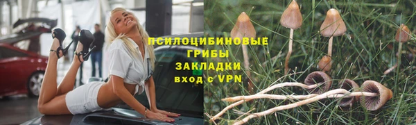 хмурый Покачи