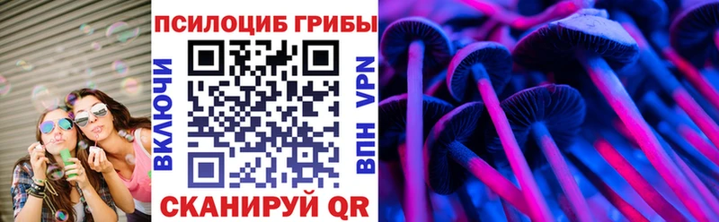 Псилоцибиновые грибы Cubensis  Бахчисарай 